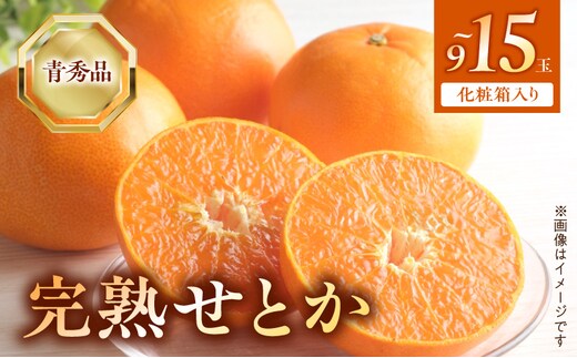 BF6049n_【2027年先行受付】完熟 せとか 青秀品 9～15玉 化粧箱