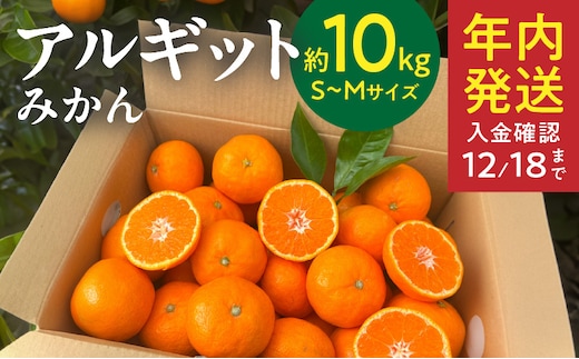 YA1004_完熟 アルギット みかん 10kg S～M サイズ