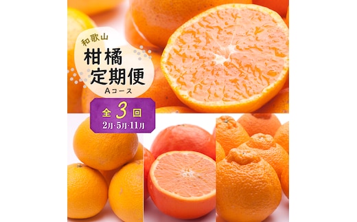 季節の柑橘定期便A【全3回】【和歌山県有田】_ZH7021