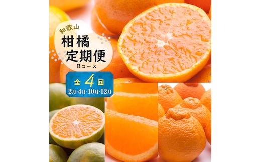 季節の柑橘定期便B【偶数月・全4回】【和歌山県有田】_ZH7024