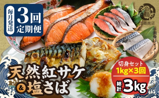 G60_T53_【定期便 全3回】人気の2種塩さば＆紅鮭切り身セット計3kg (1kg × 3回)