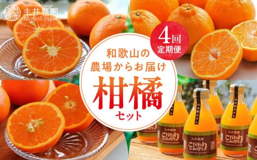 ZS69007_柑橘定期便【4回定期便】樹