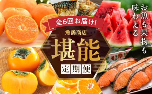G60-T75_【定期便 偶数月6回】魚鶴商店堪能定期便