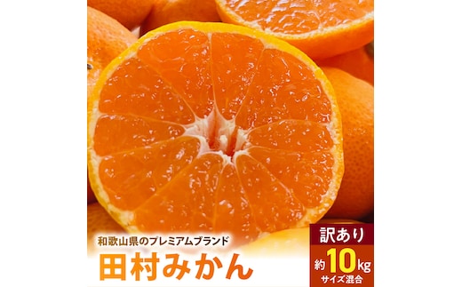 AB7300_ ご家庭用 田村みかん サイズ混合 約10kg わけあり 訳あり 不揃い 和歌山プレミアムブランドみかん 小玉 中玉 大玉 蜜柑 ミカン フルーツ 果物