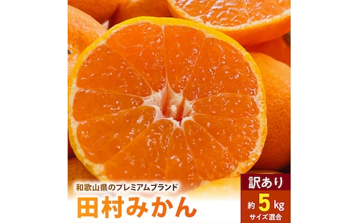 AB7301_ ご家庭用 田村みかん サイズ混合 約5kg _ わけあり 訳あり 和歌山プレミアムブランドみかん 小玉 中玉 大玉 蜜柑 ミカン フルーツ 果物