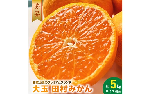 AB7303_ 大玉田村みかん 2L・3Lサイズ 秀品 約5kg _ 和歌山プレミアムブランドみかん 大粒有 大きい 蜜柑 ミカン フルーツ 果物 ギフト お歳暮