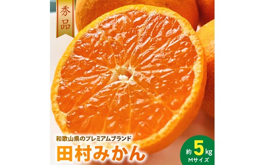 AB7307_プレミアムブランド 田村みかん Mサイズ 秀品 約5kg 和歌山県産 蜜柑 ミカン フルーツ 果物 ギフト お歳暮 完熟