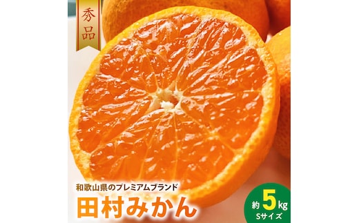 AB7309_ 【2026年先行予約】プレミアムブランド 田村みかん Sサイズ 秀品 約5kg _ 和歌山県産 小玉 小さい 蜜柑 ミカン フルーツ 果物 ギフト お歳暮 完熟