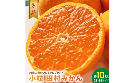 AB7310_【2026年先行予約】小粒田村みかん 2S・3Sサイズ 秀品 約10kg _ 和歌山プレミアムブランドみかん 小玉 小さい 蜜柑 ミカン フルーツ 果物 ギフト お歳暮