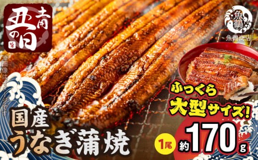 G7312_【土用の丑の日】＜7月26日までにお届け＞ふっくら柔らか 国産うなぎ蒲焼き 1尾