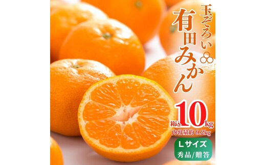 MK1005_みかん Ｌサイズ 秀品 箱込 10kg ( 内容量 9.2kg ) 有田みかん みかん 濃厚 甘み 濃縮 温暖 好条件 和歌山県産 産地直送 贈答用 贈り物 ギフト のし対応 フルーツ デザート 和歌山県 湯浅 お取り寄せ お取り寄せフルーツ 送料無料 みかんの会