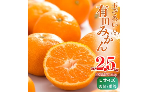 MK1006_みかん Ｌサイズ 秀品 箱込 2.5kg ( 内容量 2.3kg ) 有田みかん みかん 濃厚 甘み 濃縮 温暖 好条件 和歌山県産 産地直送 贈答用 贈り物 ギフト のし対応 フルーツ デザート 和歌山県 湯浅 お取り寄せ お取り寄せフルーツ 送料無料 みかんの会