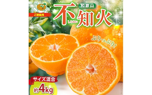 ZJ6094_【2026年先行予約】不知火(しらぬい) オレンジ みかん 家庭用 4kg