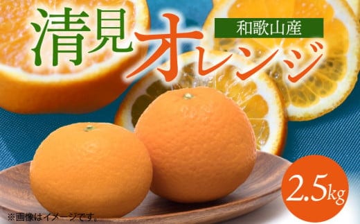 G7328_【2026年先行予約】とにかくジューシー 清見 オレンジ 2.5kg フルーツ 果物 柑橘 果実 甘い 果汁 ジューシー コク 柑橘の親 国産 食品 食べ物 魚鶴商店 平成の三大柑橘 お取り寄せ 和歌山県 湯浅町 送料無料