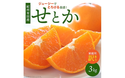 G7354_【2027年先行予約】【家庭用 訳あり】 とろける食感！ジューシー柑橘 せとか ミカン 春みかん 果物 果実 フルーツ 柑橘 デザート お取り寄せ 和歌山県 湯浅町 送料無料