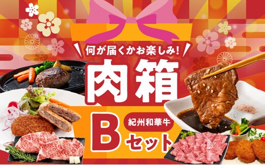 BN6136_お楽しみ肉箱 Bセット お試し ドキドキ 黒毛和牛 ハンバーグ メンチカツ ステーキ ロース ヒレ 焼肉 すき焼き しゃぶしゃぶ 盛り合わせ コロッケ ローストビーフ 食品 和歌山県 湯浅町 送料無料 