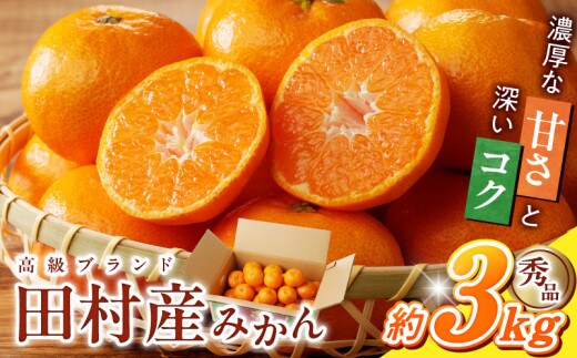 G7339_高級ブランド 秀品 紀州有田田村産みかん 3kg 濃厚 糖度 酸味 バランス 甘さ コク 国産 みかん 有田みかん フルーツ 果物 果実 デザート おやつ お取り寄せ お取り寄せフルーツ 和歌山県 湯浅町 送料無料