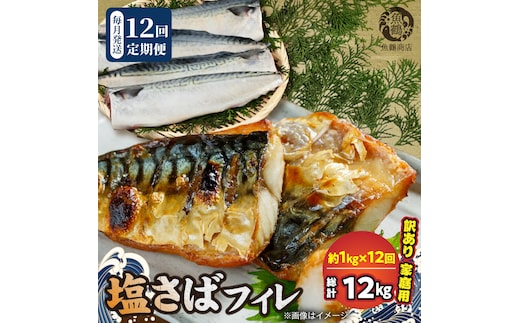 G60-T86_【訳あり 家庭用】 塩さば フィレ 1kg 全12回定期便