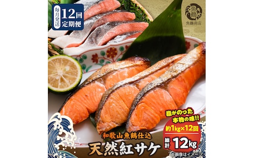 G60-T87_脂と旨みたっぷり！魚鶴仕込の天然 紅サケ 紅鮭 鮭 サーモン 切身 切り身 約1kg 全12回定期便