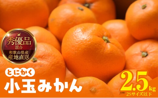 MK1000_みかん とにかく 小玉 箱込 2.5kg ( 内容量 2.3kg ) 2Sサイズ以下 秀品 優品 混合 有田みかん 和歌山県産 産地直送 【みかんの会】