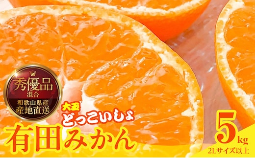 MK1033_みかん 大玉 どっこいしょ 箱込 5kg ( 内容量 4.4kg ) 2Lサイズ以上 秀品 優品 混合 有田みかん 和歌山県産 産地直送 【みかんの会】