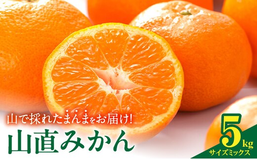 MK1038_みかん 山から直送 箱込 5kg ( 内容量 4.4kg ) 鮮度優先ごろごろ規格 和歌山県産 産地直送 家庭用 【みかんの会】