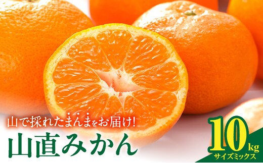 MK1039_みかん 山から直送 箱込 10kg ( 内容量 9.2kg ) 鮮度優先ごろごろ規格 和歌山県産 産地直送 家庭用 【みかんの会】