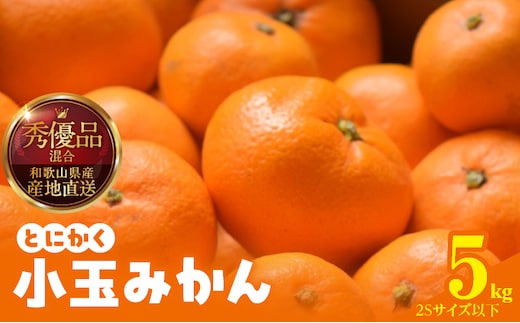 MK1040_みかん とにかく 小玉 箱込 5kg ( 内容量 4.4kg ) 2Sサイズ以下 秀品 優品 混合 有田みかん 和歌山県産 産地直送 【みかんの会】