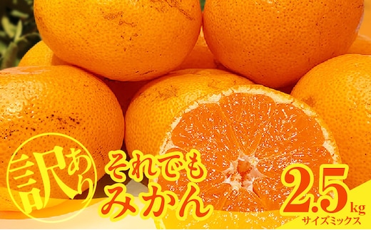 MK1048_訳あり それでも みかん 箱込 2.5kg ( 内容量 2.3kg ) サイズミックス Ｂ品 有田みかん 和歌山県産 産地直送 家庭用【みかんの会】