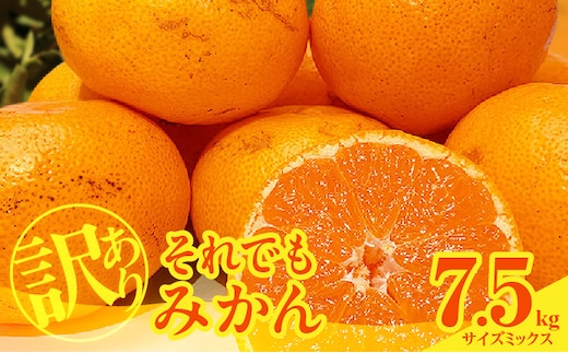 MK1049_訳あり それでも みかん 箱込 7.5kg ( 内容量 6.8kg ) サイズミックス Ｂ品 有田みかん 和歌山県産 産地直送 家庭用【みかんの会】