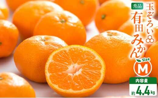 MK1044_みかん Ｍサイズ 秀品 箱込 5kg ( 内容量 4.4kg ) 有田みかん 和歌山県産 産地直送 贈答用 【みかんの会】