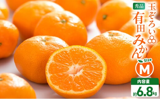 MK1045_みかん Ｍサイズ 秀品 箱込 7.5kg ( 内容量 6.8kg ) 有田みかん 和歌山県産 産地直送 贈答用 【みかんの会】