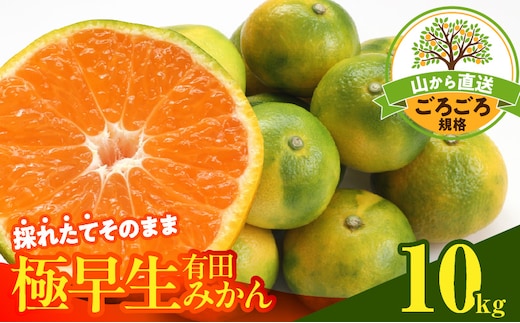 MK1078_【2026年先行予約】みかん 極早生 山から直送 箱込 10kg ( 内容量 9.2kg ) 採れたてそのままごろごろ規格 有田みかん 和歌山県産