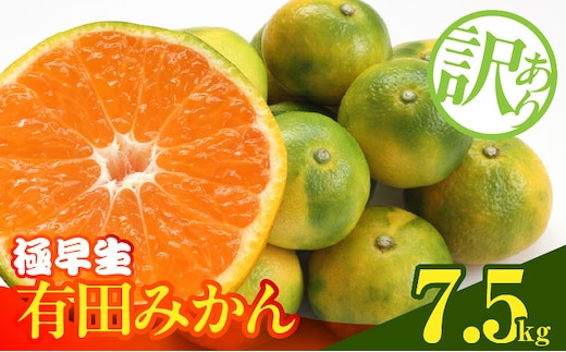 MK1083_【2026年先行予約】訳あり みかん 極早生 箱込 7.5kg ( 内容量 6.8kg ) サイズミックス 有田みかん 和歌山県産