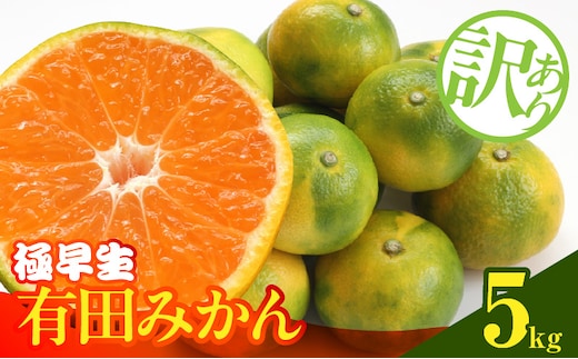 MK1084_【2026年先行予約】訳あり みかん 極早生 箱込 5kg ( 内容量 4.4kg ) サイズミックス 有田みかん 和歌山県産