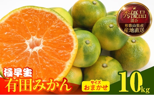 MK1070_【2026年先行予約】みかん 極早生 箱込10kg（内容量9.2kg）おまかせサイズ（S/M/L）秀品・優品 の混合 有田みかん 和歌山県産