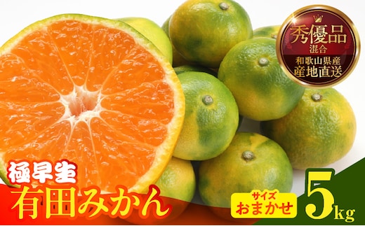 MK1072_【2026年先行予約】みかん 極早生 箱込 5kg ( 内容量4.4kg ) おまかせサイズ（S/M/L）秀品・優品 の混合 有田みかん 和歌山県産
