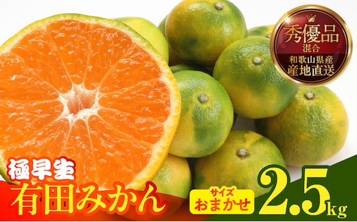 MK1073_【2026年先行予約】みかん 極早生 箱込 2.5kg ( 内容量2.3kg ) おまかせサイズ（S/M/L）秀品・優品 の混合 有田みかん 和歌山県産