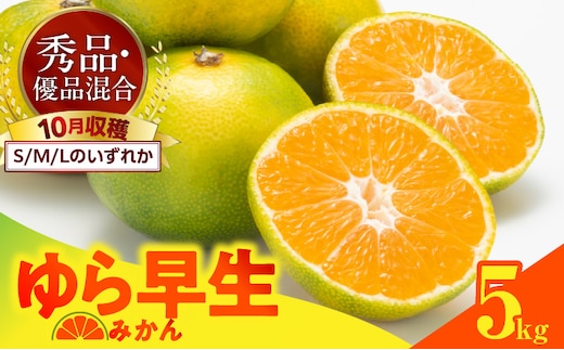 MK1056_【2026先行予約】ゆら早生 みかん 箱込 5kg ( 内容量 4.4kg ) S M Lサイズのいずれか 秀品 優品 混合 有田みかん 和歌山県産