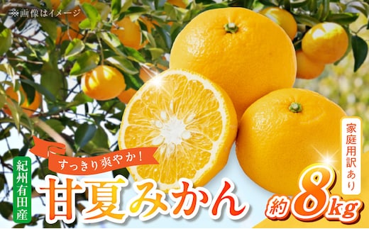 G7362_【2026年先行予約】【ご家庭用】【訳あり】紀州有田産 すっきり爽やか 甘夏みかん ８kg