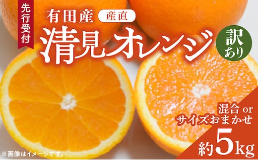 ZD92071_【2026年先行予約】【産直】有田産清見オレンジ 約5kg（訳あり家庭用サイズおまかせまたは混合）