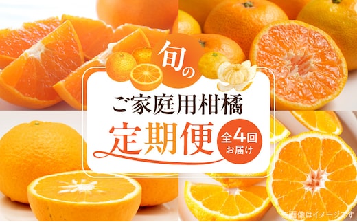 G60-T98_【発送月固定定期便】紀州和歌山産旬のご家庭用柑橘セット(みかん・不知火・せとか・清見)全4回