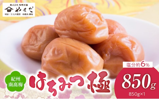 YD1006_紀州南高梅はちみつ極塩分約6％（850ｇ）
