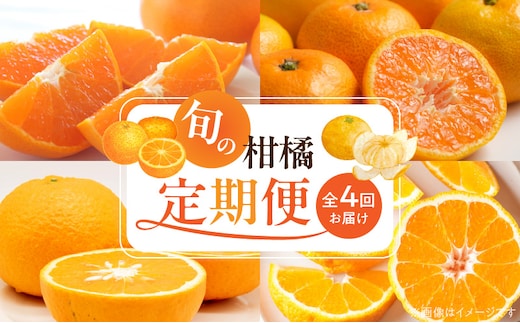 G60-T99_【定期便 全4回】紀州和歌山産旬の柑橘セット(みかん・不知火・せとか・清見)全4回