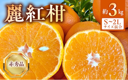 BF6062_【2027年先行受付】麗紅柑 (れいこう) 赤秀品 S～2Lサイズ 3kg 和歌山有田産