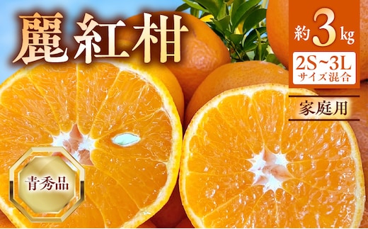 BF6063_【2027年先行受付】麗紅柑 (れいこう) 青秀品 (家庭用) 2S～3Lサイズ 3kg 和歌山有田産