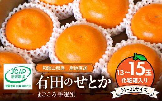 ZE6497_【2026年先行予約】【まごころ手選別】 せとか 化粧箱入り (13～15玉)