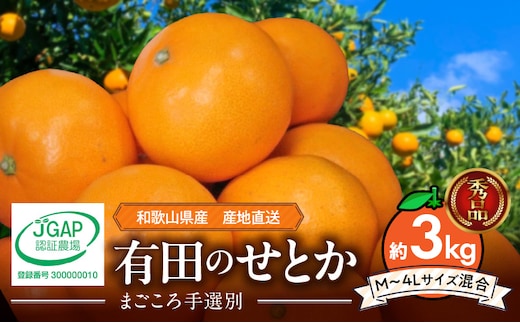 ZE6499_【2026年先行予約】【まごころ手選別】 せとか 約3kg 秀品