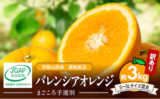 ZE6508_【2026年先行予約】和歌山県産 バレンシアオレンジ 3kg 家庭用