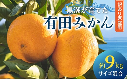 AE6111_黒潮が育てた有田みかん約9kg（サイズ混合）(訳あり 家庭用）